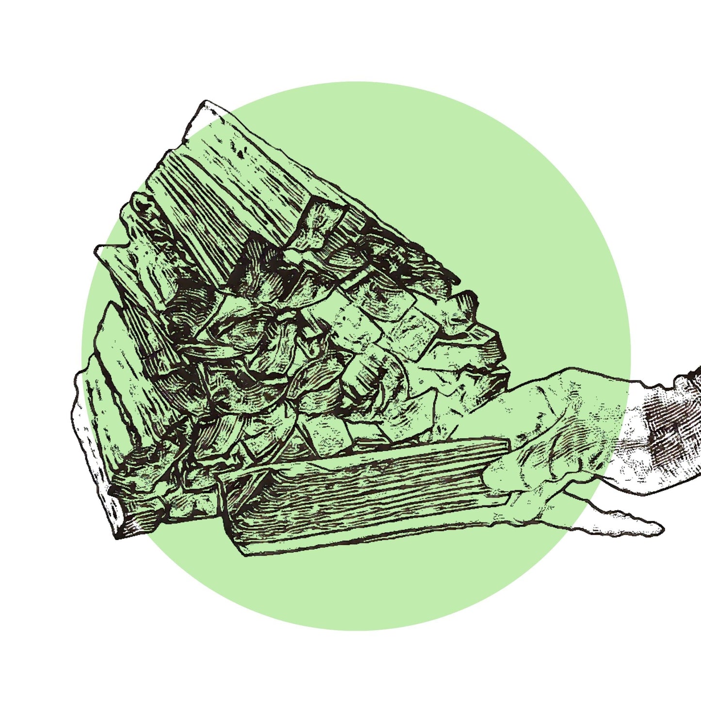 Anzünder 3,2 kg Anmachholz Anfeuerholz Anzündholz - LaTree