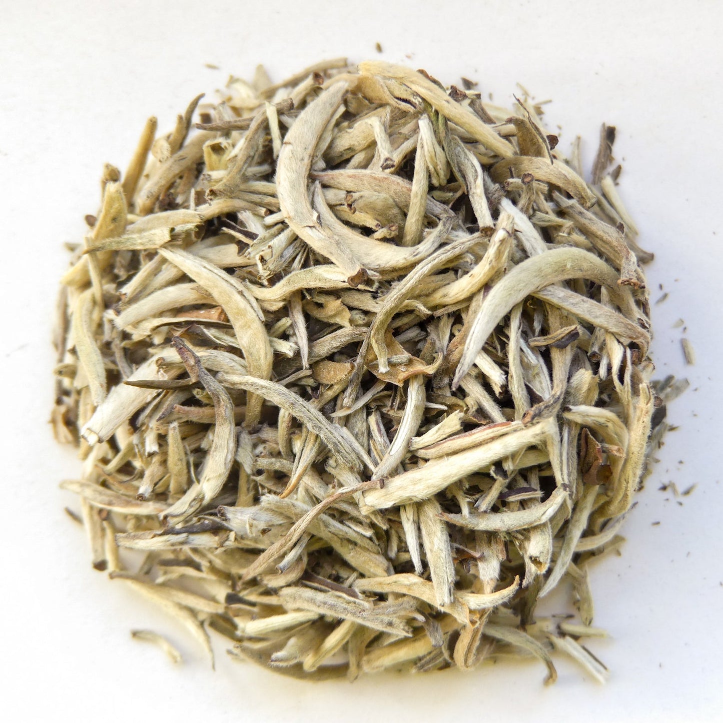 Silbernadel Tee - Weißer Tee - LaTree