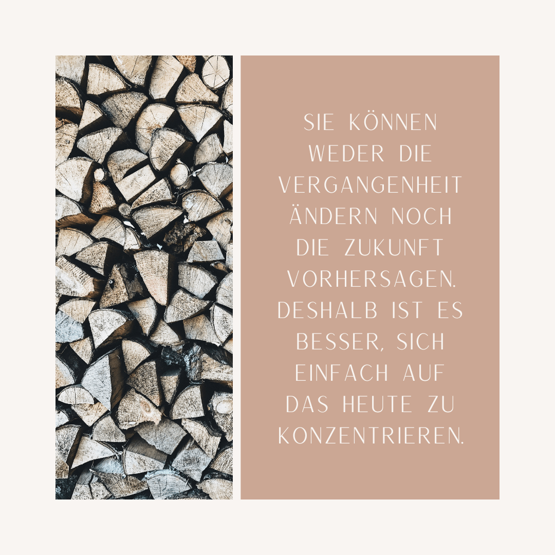 Neue Gesetze für Brennholz zu Hause ab 2025 - LaTree