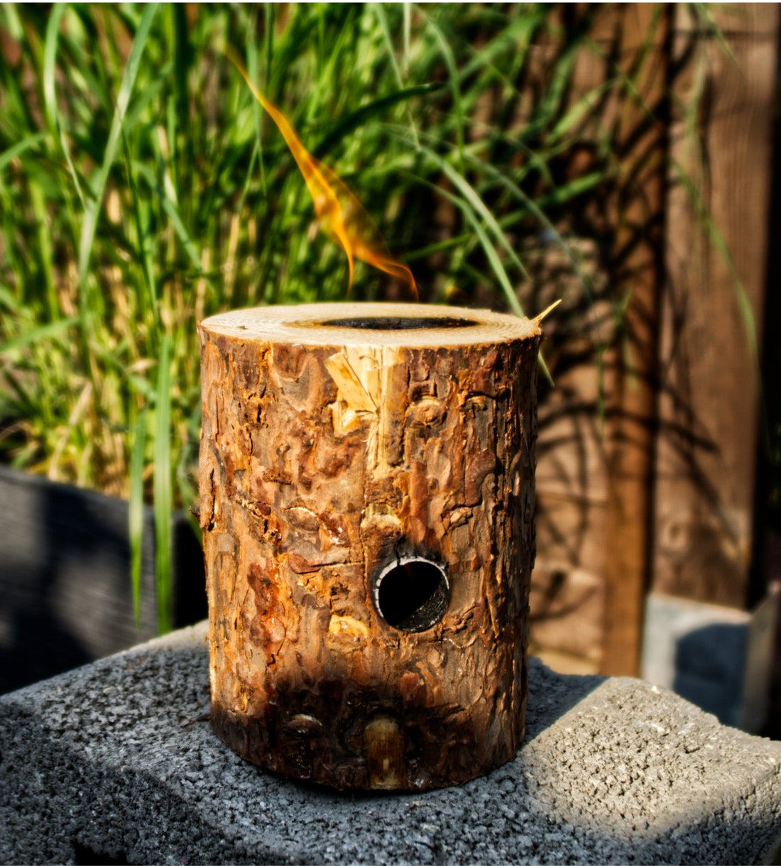 Was ist Citronella?? - LaTree