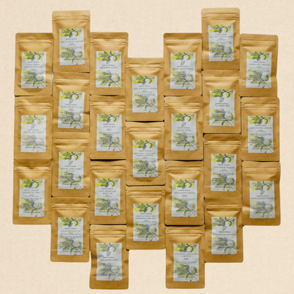 Probierpaket: Von jeder der 25 angebotenen Teesorten 20 Gramm - LaTree